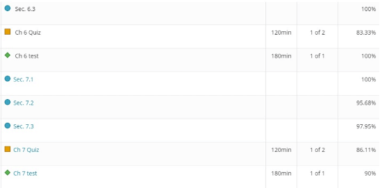 Screenshot of an IT gradebook showing high scores in programming quizzes and tests